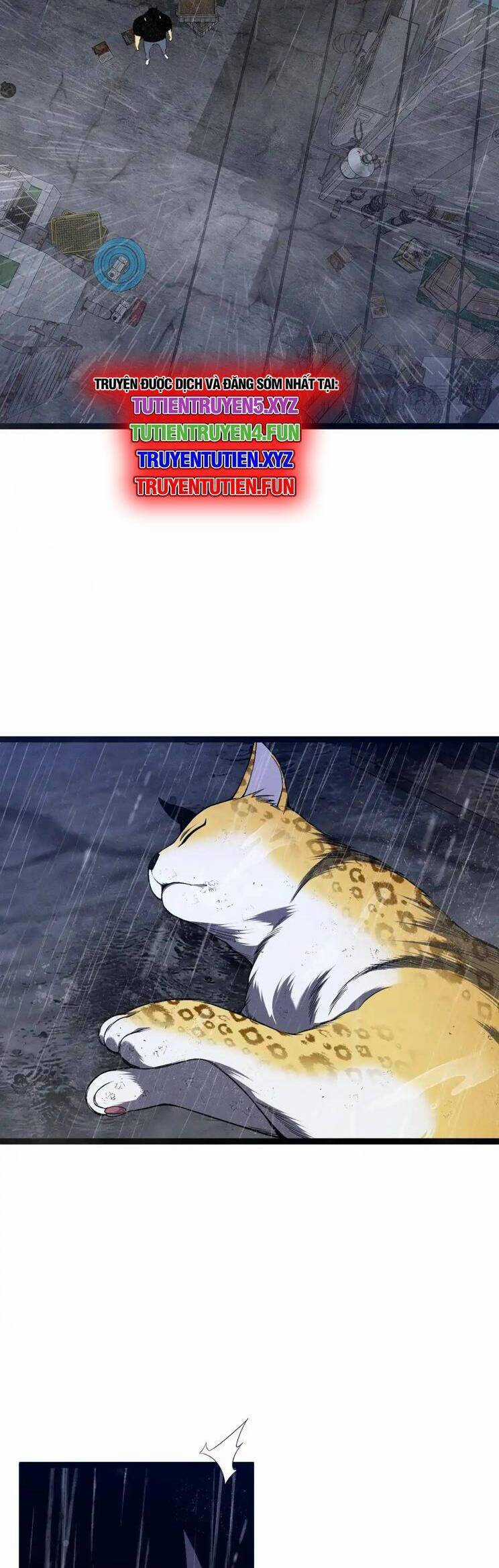 Thiên Phú Của Ngươi, Giờ Là Của Ta Chapter 95 trang 5