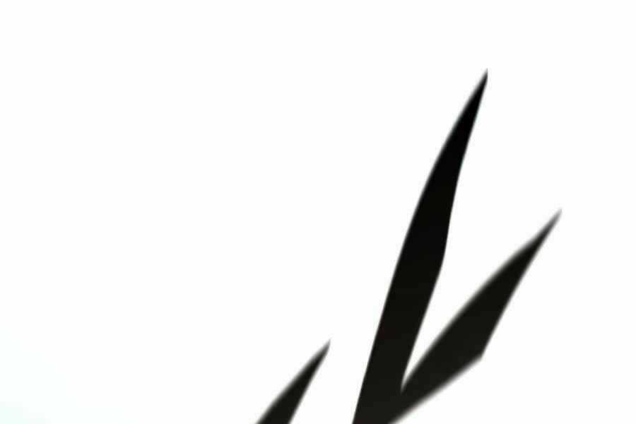 Thiên Quỷ Chẳng Sống Nổi Cuộc Đời Bình Thường Chapter 17 trang 215