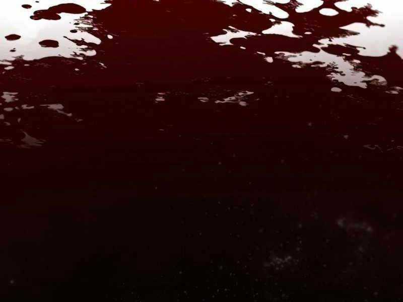 Thiên Quỷ Chẳng Sống Nổi Cuộc Đời Bình Thường Chapter 33 trang 206