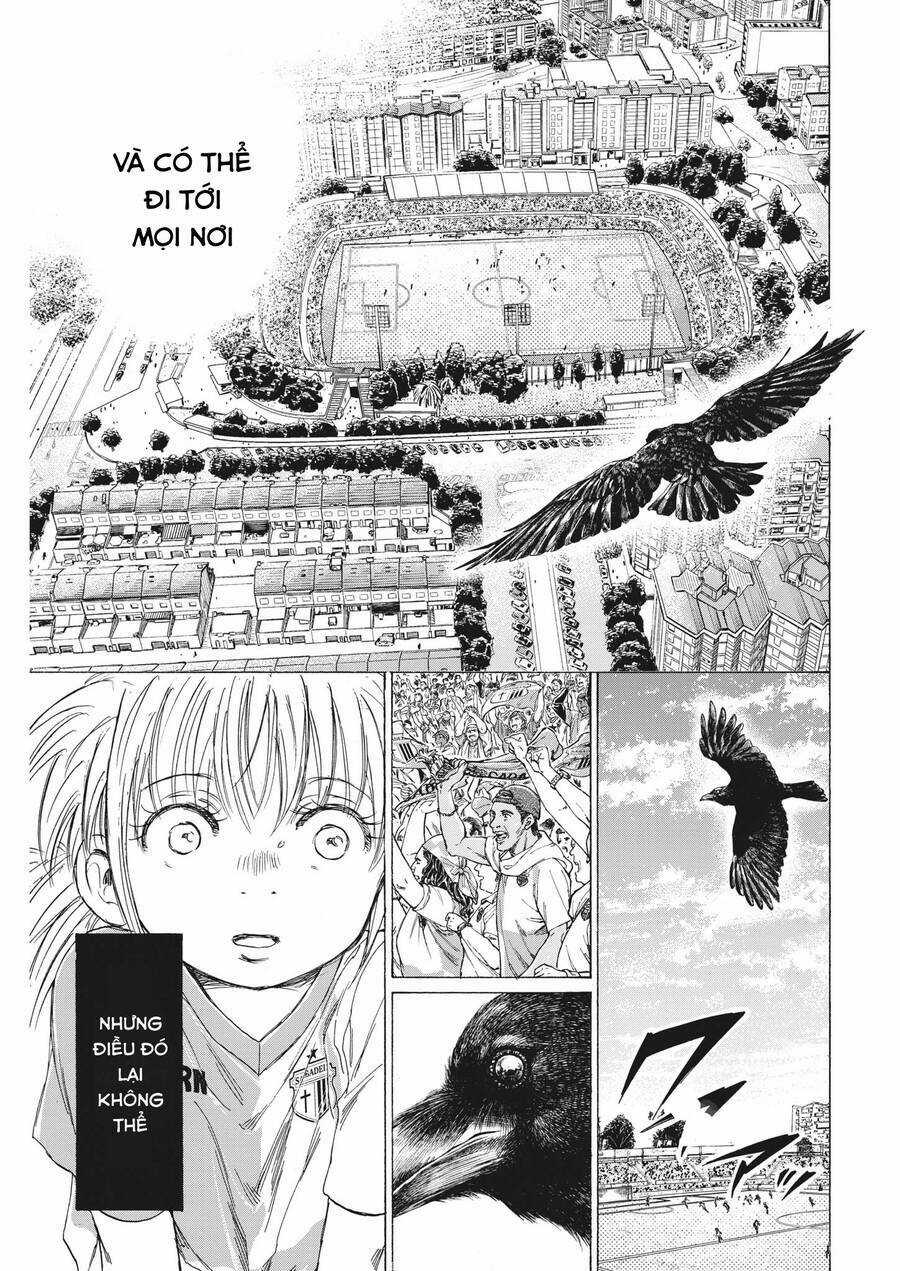 Thiên Tài Bóng Đá Ashito Chapter 335 trang 12