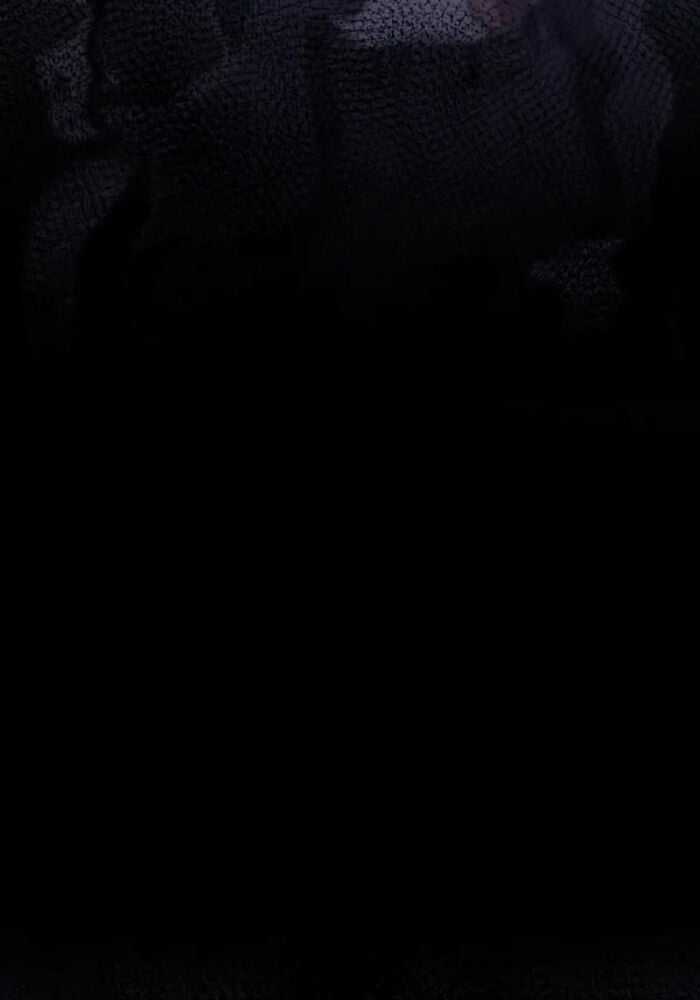 Thiên Tài Của Dòng Dõi Độc Nhất Vô Nhị Chapter 100 trang 63