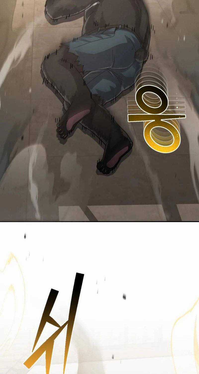 Thiên Tài Của Dòng Dõi Độc Nhất Vô Nhị Chapter 82 trang 64