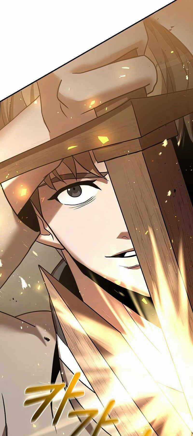 Thiên Tài Kiếm Thuật Của Gia Tộc Danh Giá Chapter 18 trang 14