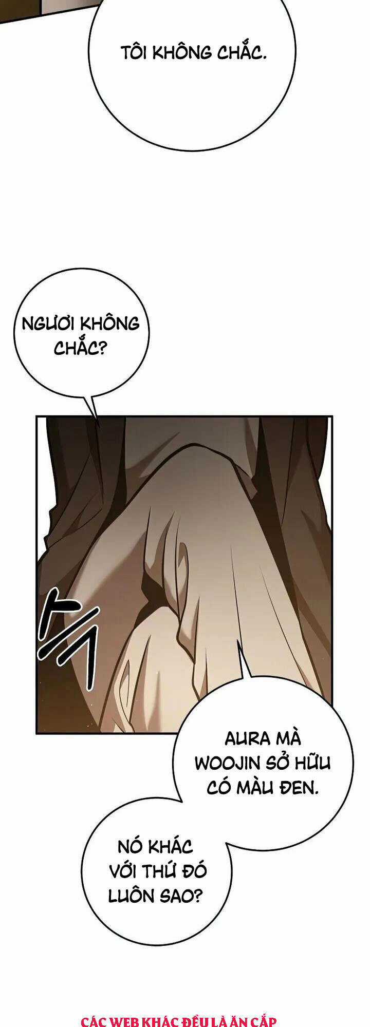 Thiên Tài Kiếm Thuật Của Gia Tộc Danh Giá Chapter 25 trang 13