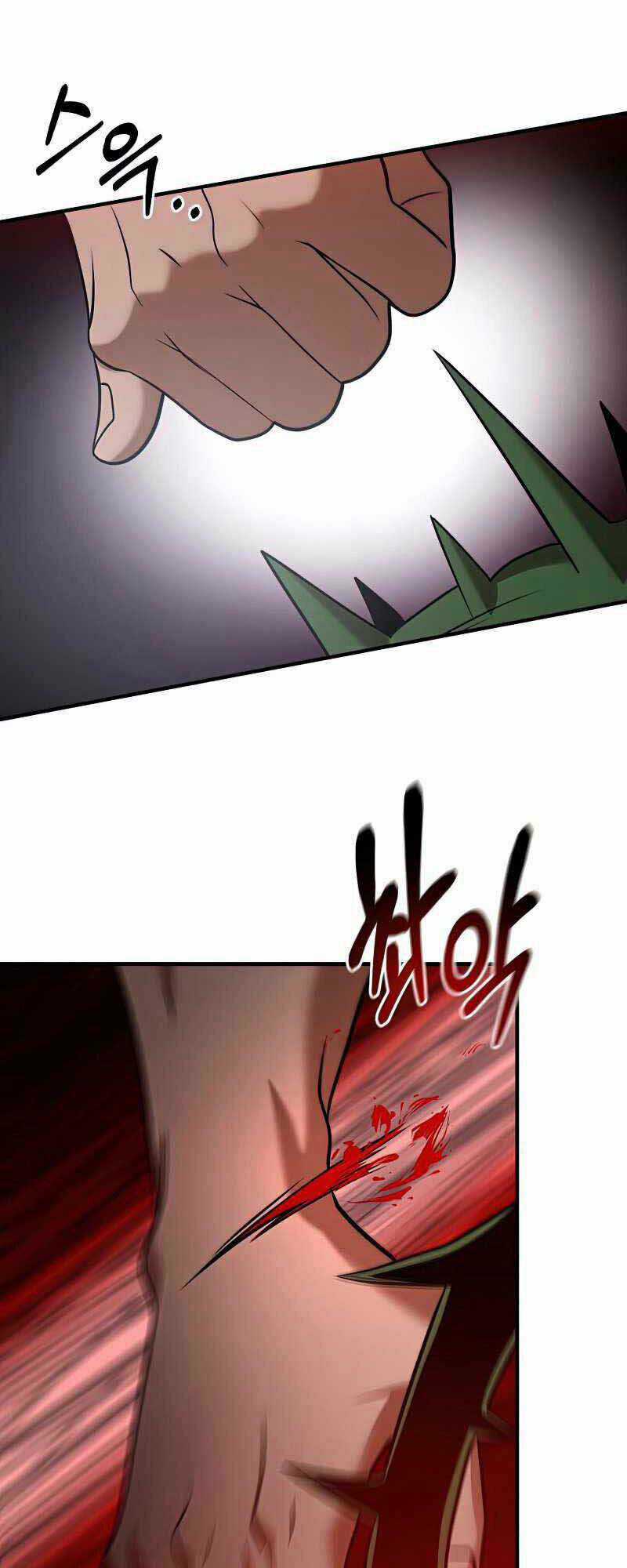 Thiên Tài Kiếm Thuật Của Gia Tộc Danh Giá Chapter 30 trang 55