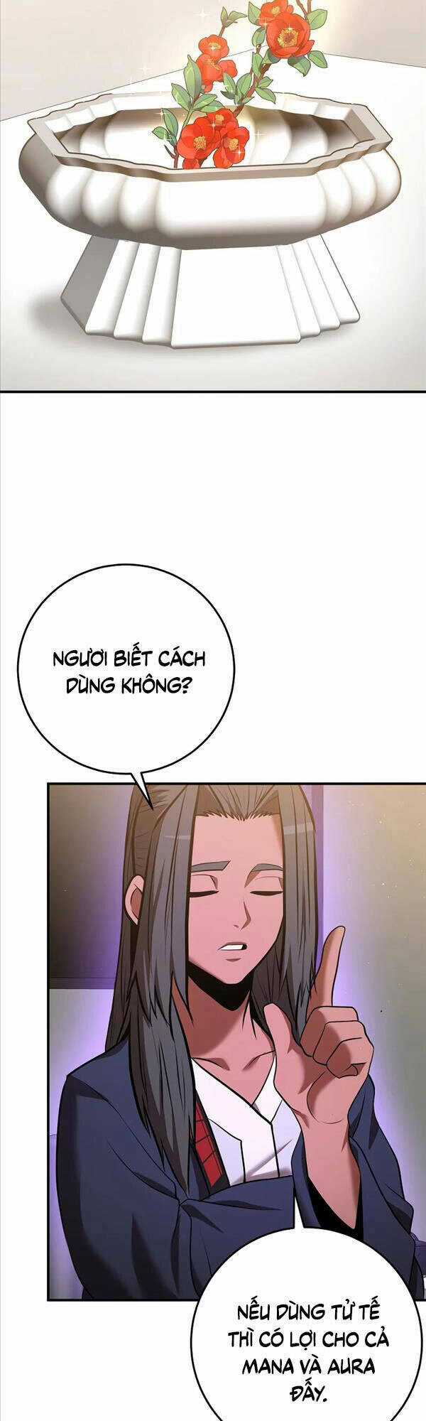 Thiên Tài Kiếm Thuật Của Gia Tộc Danh Giá Chapter 34 trang 17