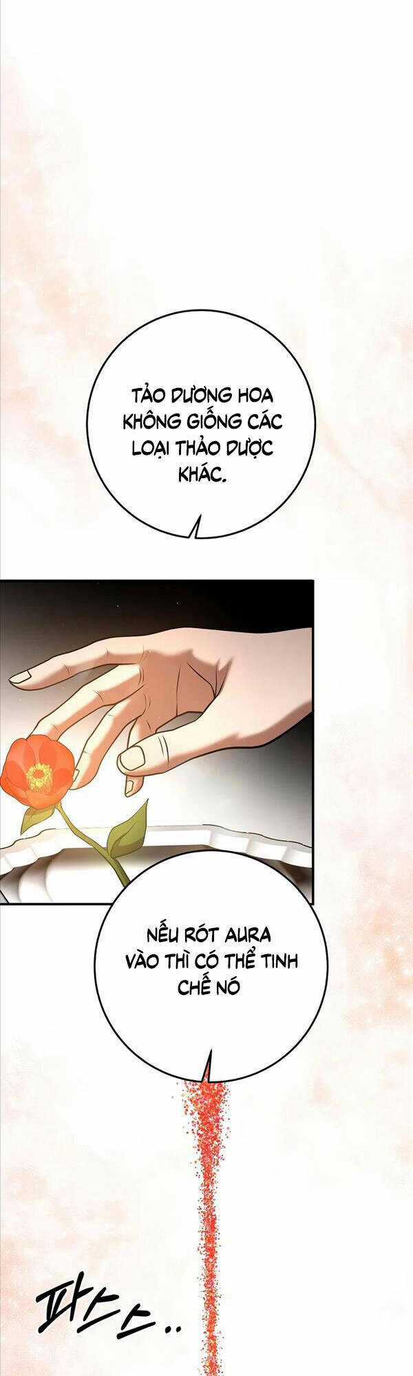 Thiên Tài Kiếm Thuật Của Gia Tộc Danh Giá Chapter 34 trang 19