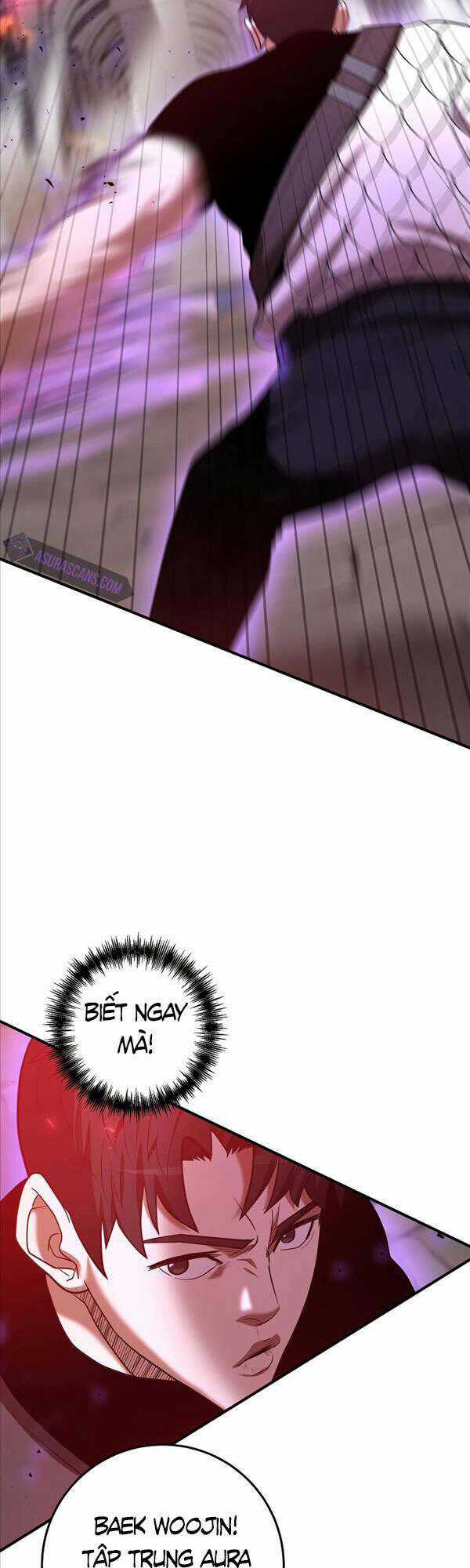 Thiên Tài Kiếm Thuật Của Gia Tộc Danh Giá Chapter 43 trang 43