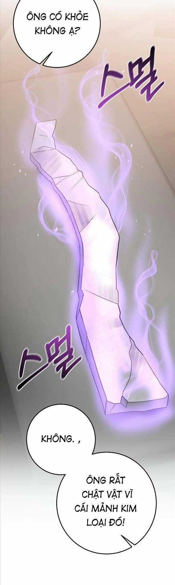 Thiên Tài Kiếm Thuật Của Gia Tộc Danh Giá Chapter 47 trang 16