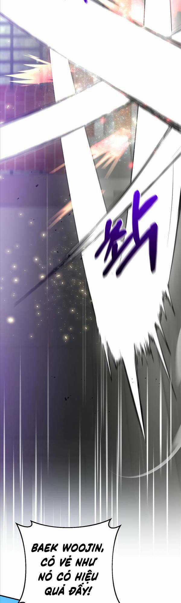 Thiên Tài Kiếm Thuật Của Gia Tộc Danh Giá Chapter 51 trang 44