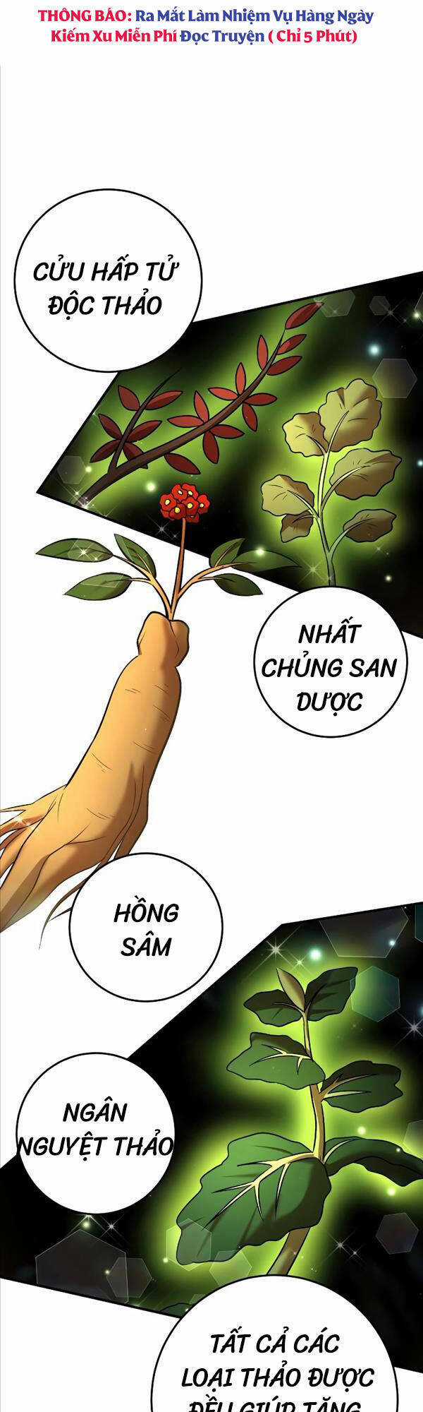 Thiên Tài Kiếm Thuật Của Gia Tộc Danh Giá Chapter 58 trang 17