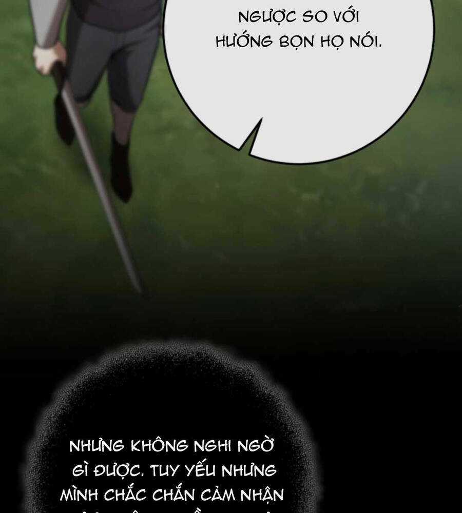 Thiên Tài Kiếm Thuật Của Gia Tộc Danh Giá Chapter 63 trang 13