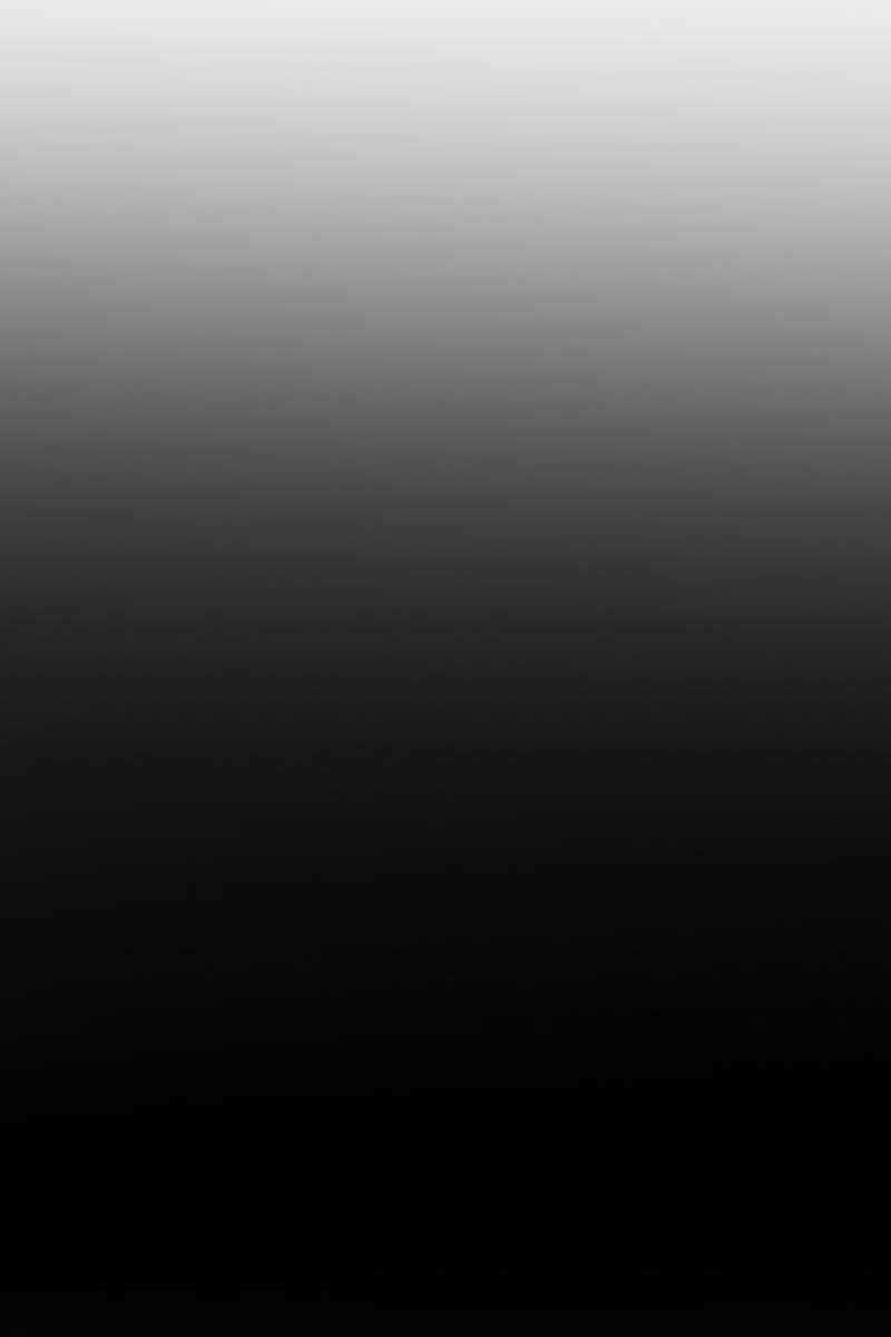 Thiên Tài Kiếm Thuật Của Gia Tộc Danh Giá Chapter 65 trang 32