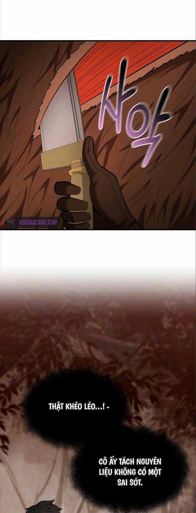 Thiên Tài Kiếm Thuật Của Gia Tộc Danh Giá Chapter 88 trang 44