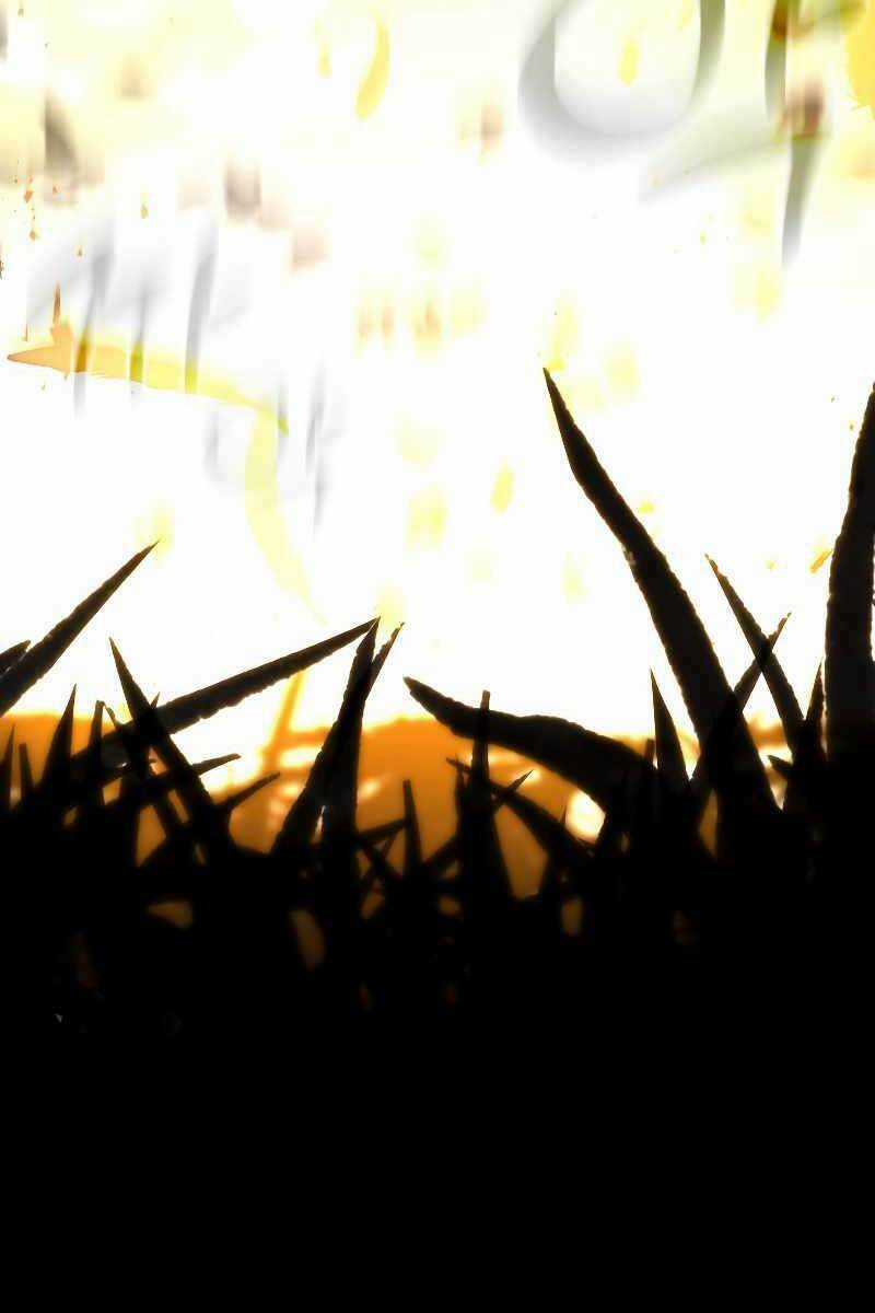 Thiên Tài Ma Pháp Sư Giấu Nghề Chapter 50 trang 63