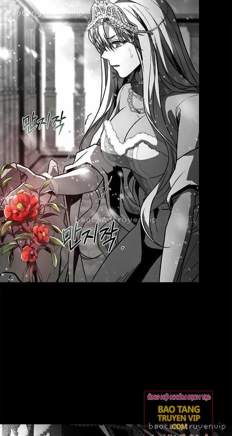 Thiên Tài Ma Pháp Sư Giấu Nghề Chapter 81 trang 11