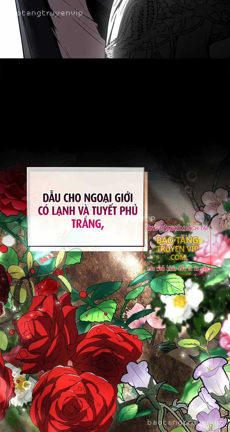 Thiên Tài Ma Pháp Sư Giấu Nghề Chapter 81 trang 23