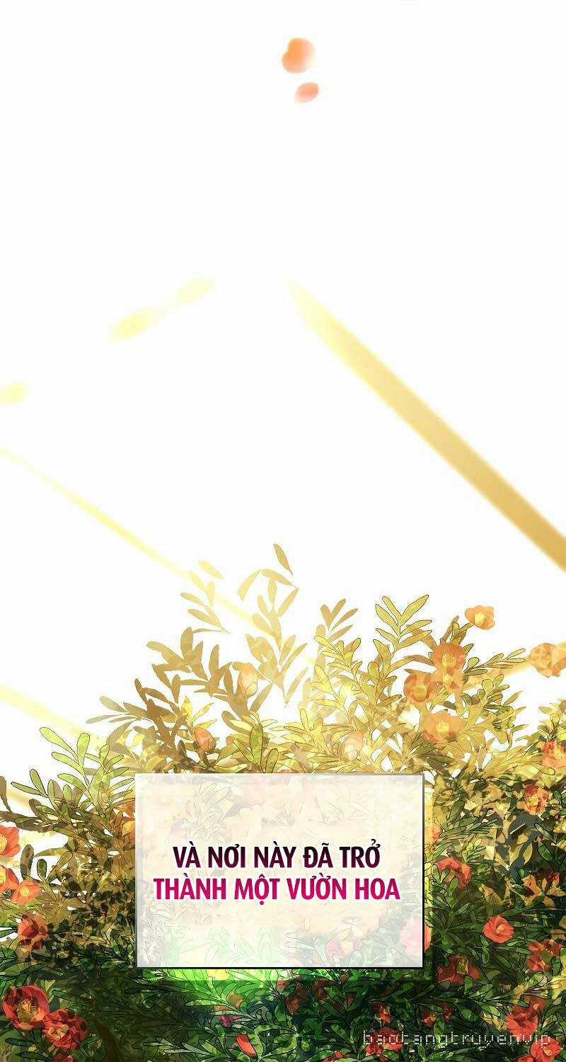 Thiên Tài Ma Pháp Sư Giấu Nghề Chapter 81 trang 25