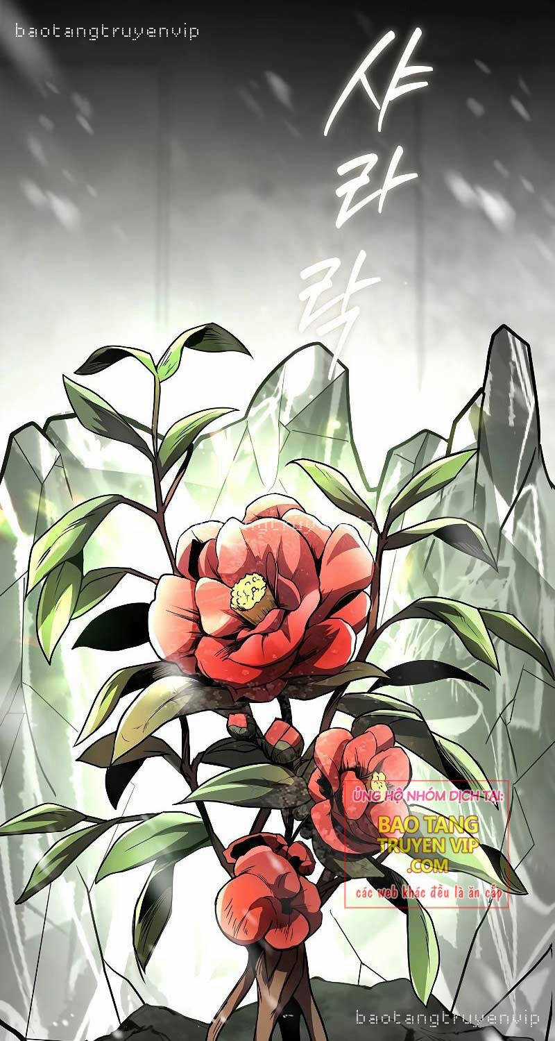 Thiên Tài Ma Pháp Sư Giấu Nghề Chapter 81 trang 9