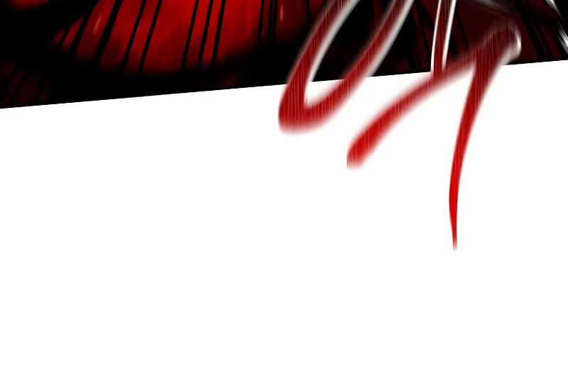 Thiên Tài Ma Pháp Sư Giấu Nghề Chapter 94 trang 208