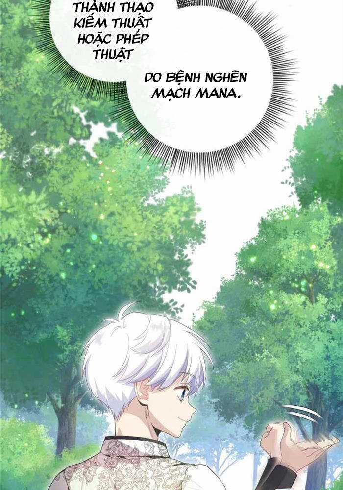 Thiên Tài Phép Thuật Nhà Hầu Tước Chapter 8 trang 21