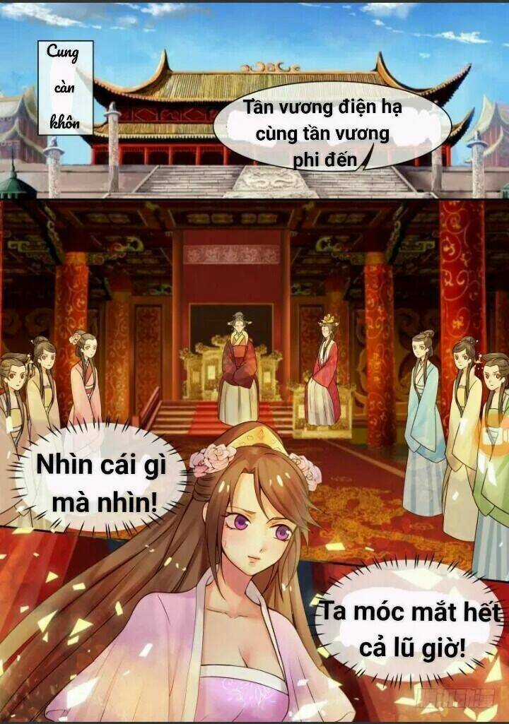 Thiên Tài Tiểu Độc Phi Chapter 10 trang 3