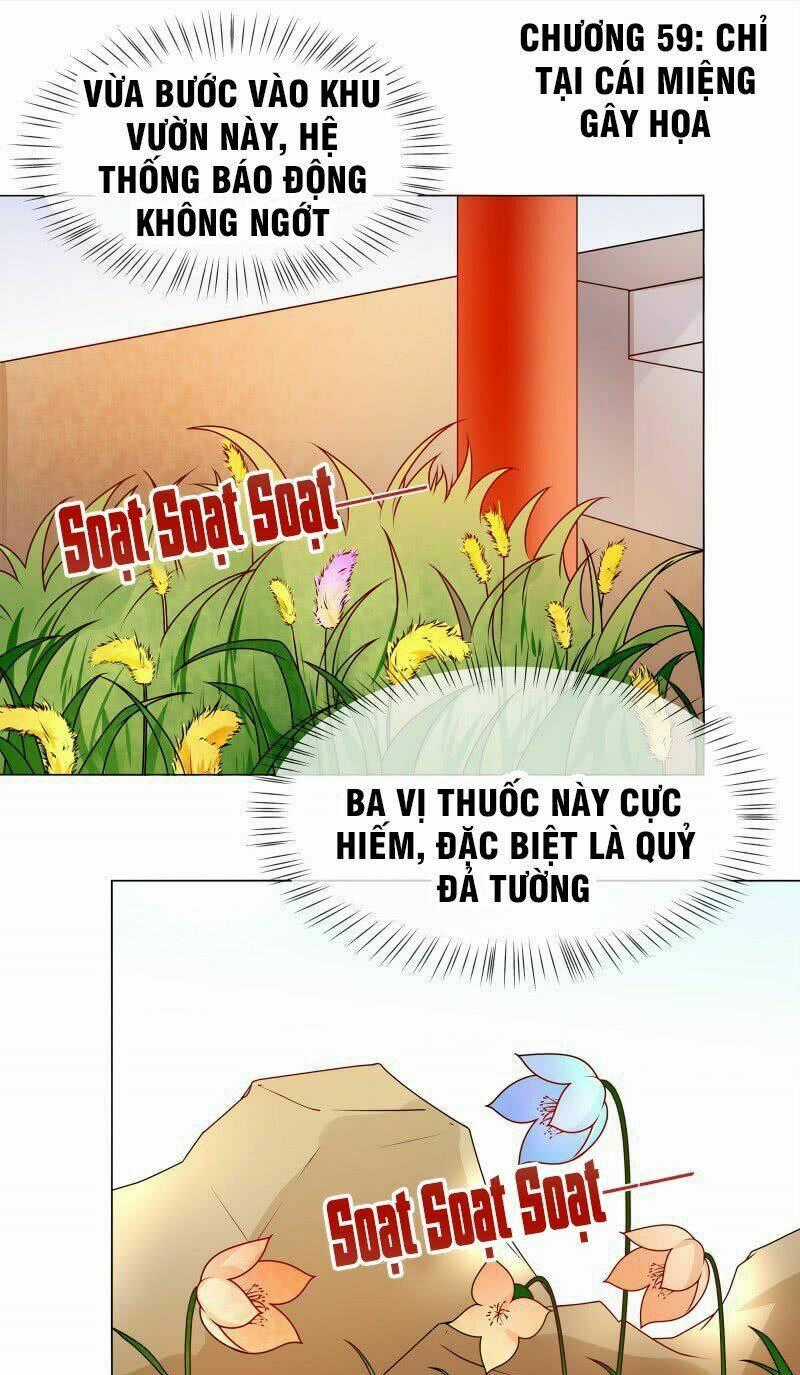 Thiên Tài Tiểu Độc Phi Chapter 59 trang 1