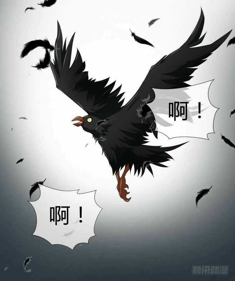 Thiên Tài Tiểu Độc Phi Chapter 77 trang 11