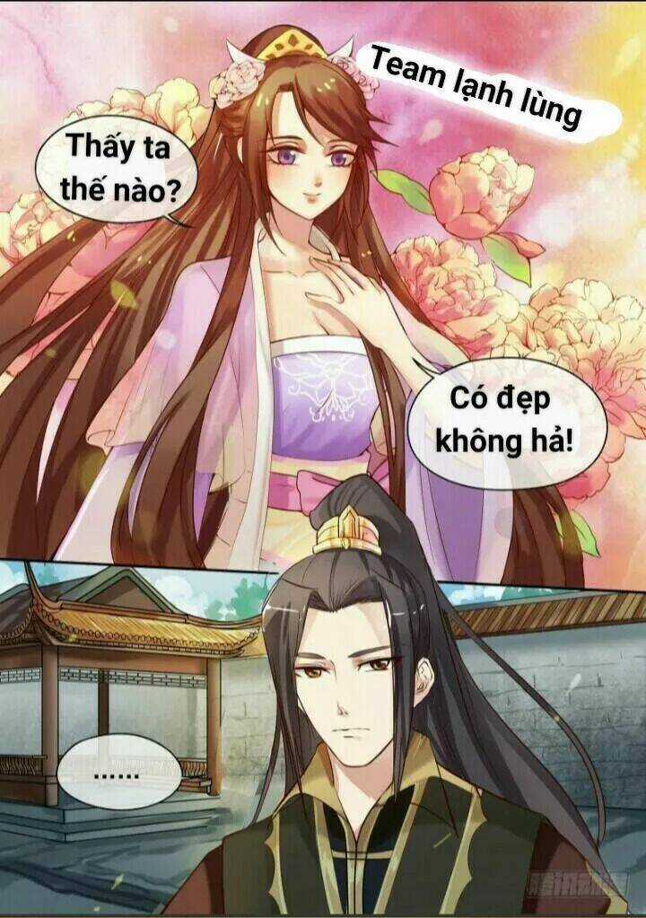 Thiên Tài Tiểu Độc Phi Chapter 8 trang 4