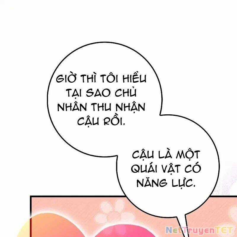 Thiên Tài Võ Thuật Hồi Quy Chương 79 trang 88