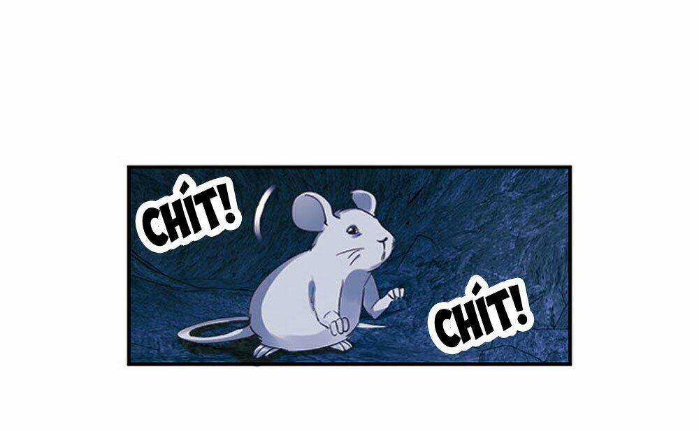 Thiền Tâm Vấn Đạo Chapter 19 trang 4