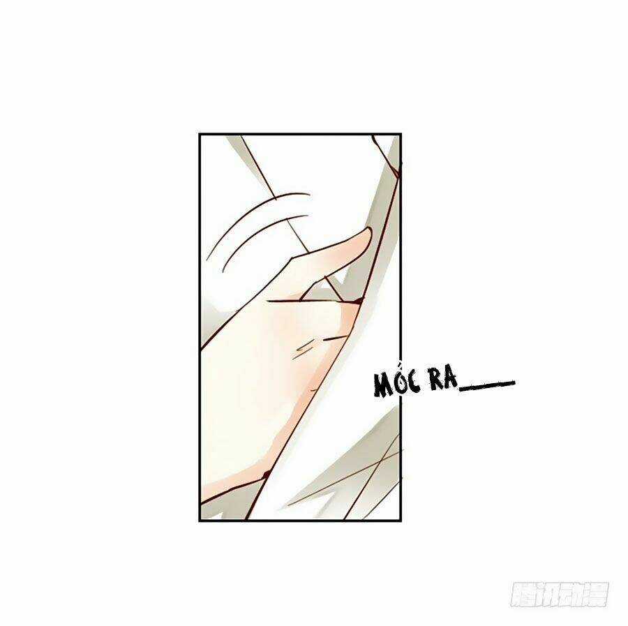 Thiền Tâm Vấn Đạo Chapter 4 trang 45