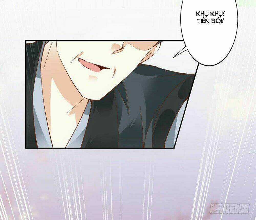 Thiền Tâm Vấn Đạo Chapter 49 trang 4