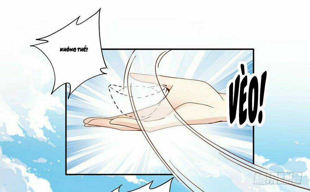 Thiền Tâm Vấn Đạo Chapter 56 trang 13