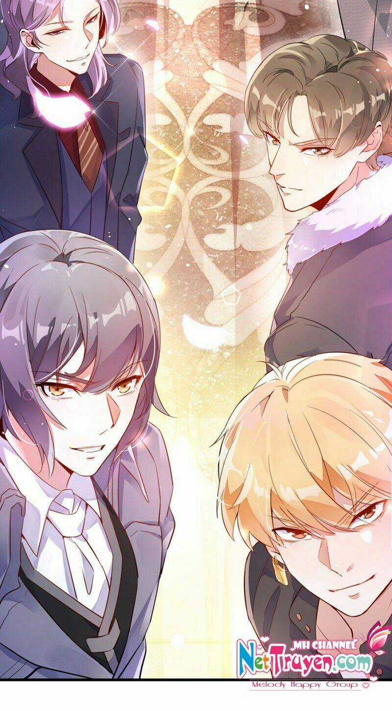 Thiên Thần Gấu Trúc Muốn Được Ôm Chapter 1 trang 9