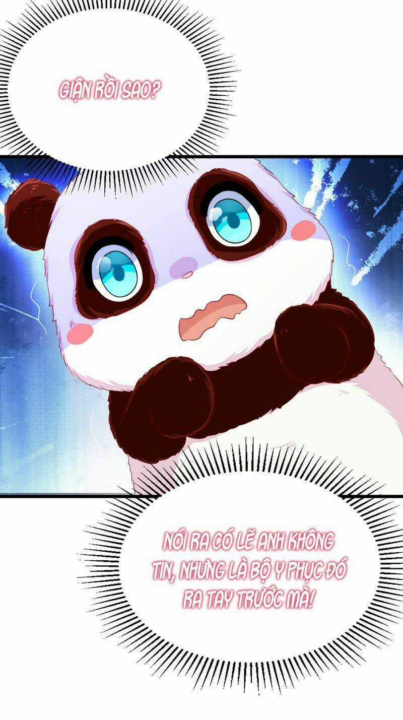 Thiên Thần Gấu Trúc Muốn Được Ôm Chapter 10 trang 11