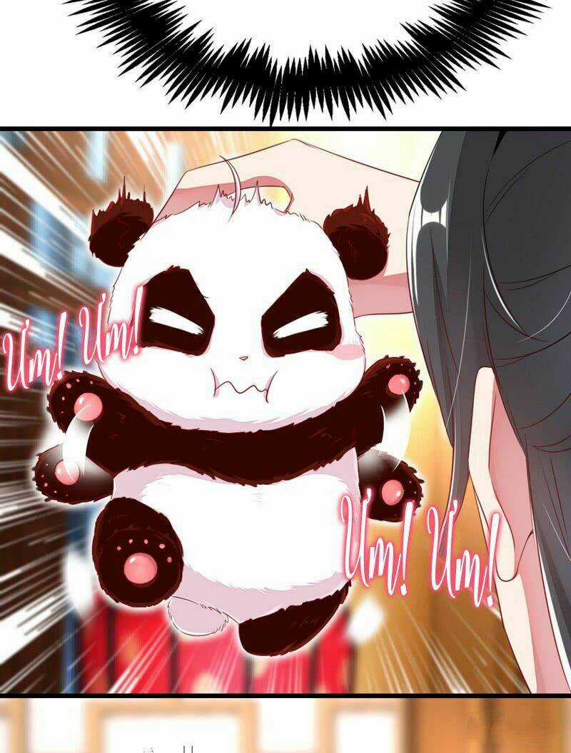 Thiên Thần Gấu Trúc Muốn Được Ôm Chapter 10 trang 16