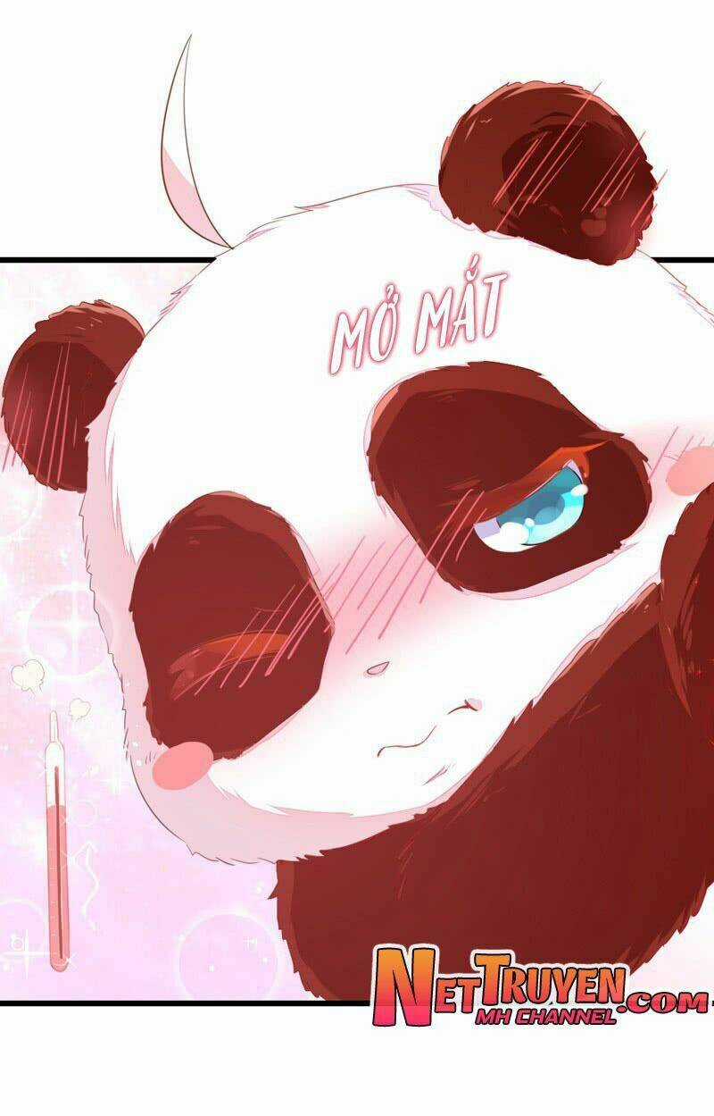 Thiên Thần Gấu Trúc Muốn Được Ôm Chapter 10 trang 6