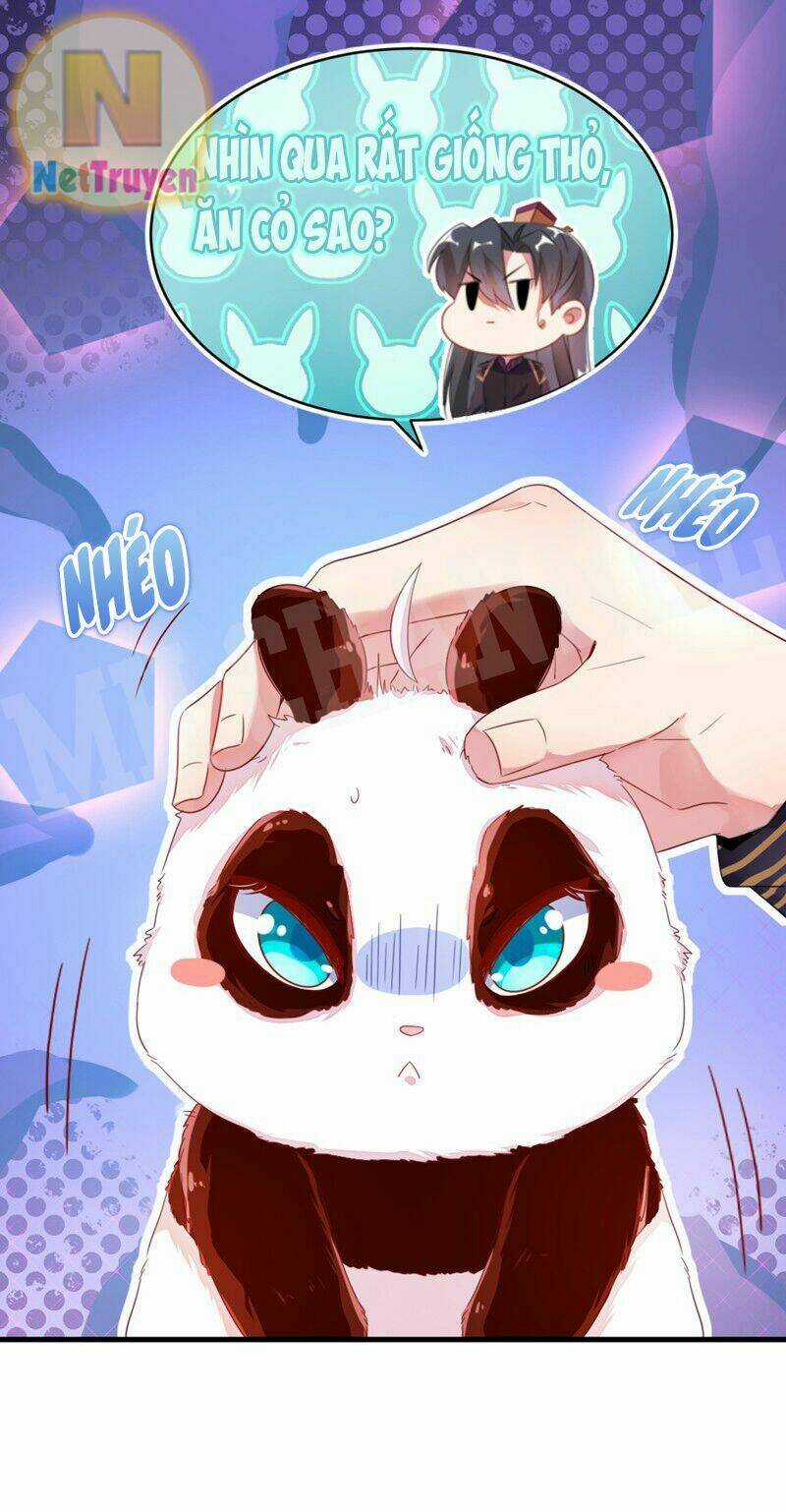 Thiên Thần Gấu Trúc Muốn Được Ôm Chapter 11 trang 11