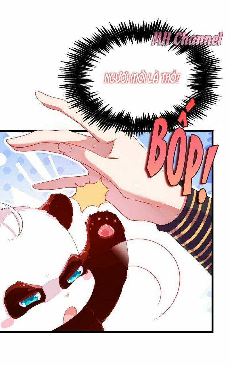 Thiên Thần Gấu Trúc Muốn Được Ôm Chapter 11 trang 12