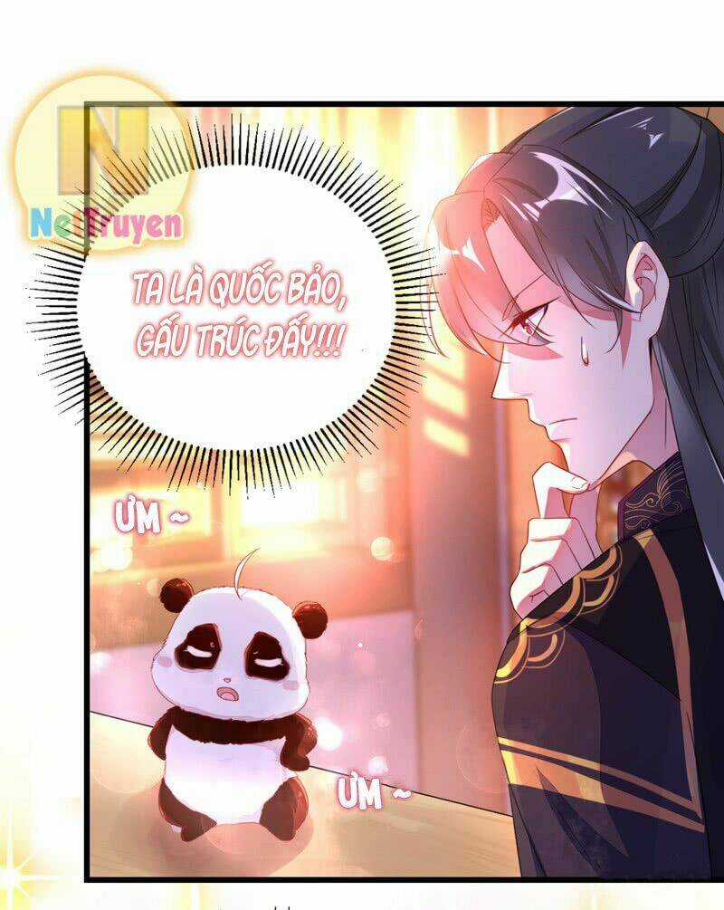 Thiên Thần Gấu Trúc Muốn Được Ôm Chapter 11 trang 13