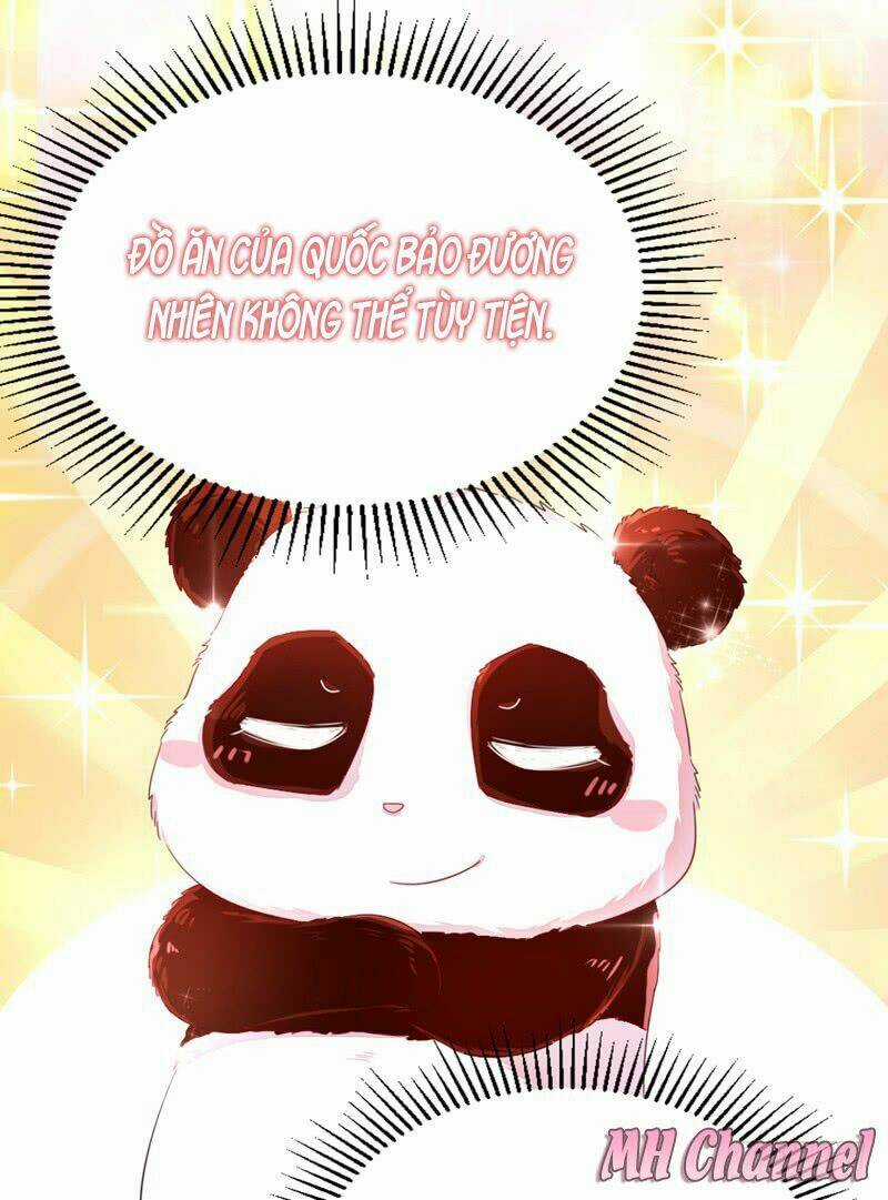 Thiên Thần Gấu Trúc Muốn Được Ôm Chapter 11 trang 14