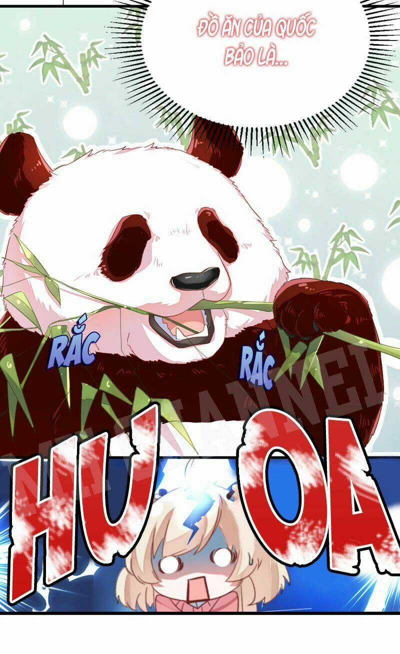 Thiên Thần Gấu Trúc Muốn Được Ôm Chapter 11 trang 15