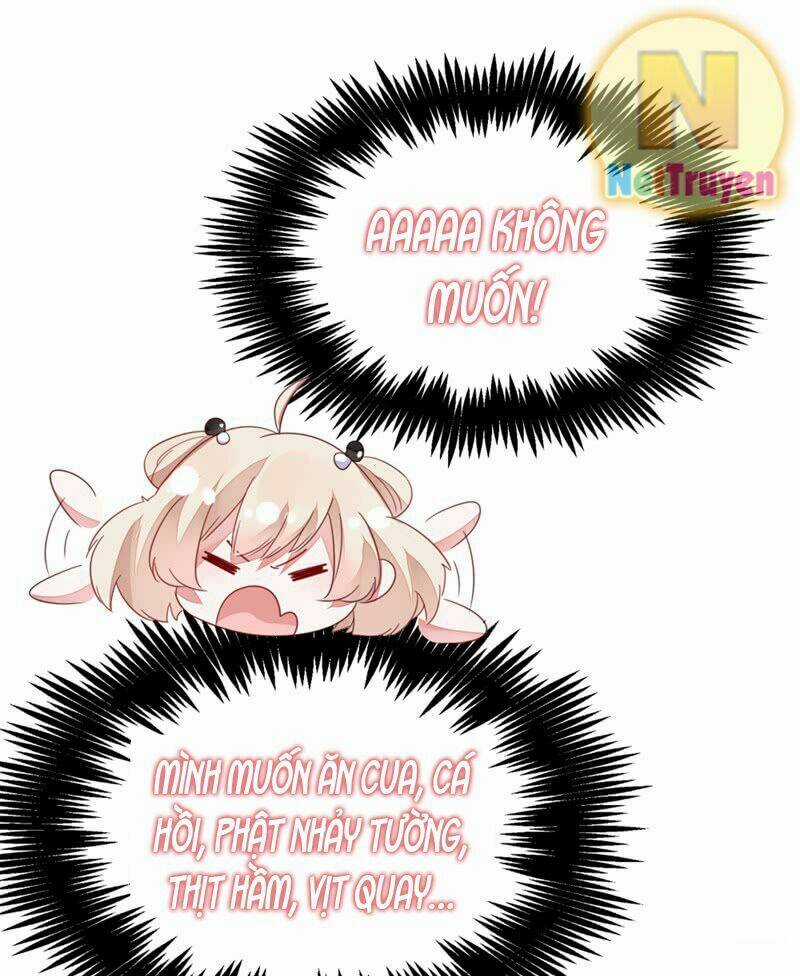 Thiên Thần Gấu Trúc Muốn Được Ôm Chapter 11 trang 16