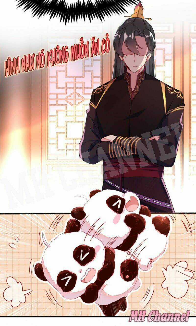 Thiên Thần Gấu Trúc Muốn Được Ôm Chapter 11 trang 17