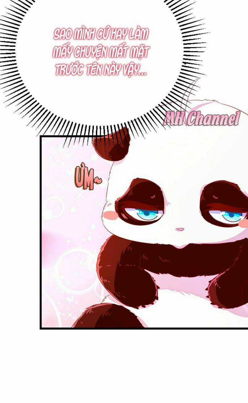 Thiên Thần Gấu Trúc Muốn Được Ôm Chapter 11 trang 4