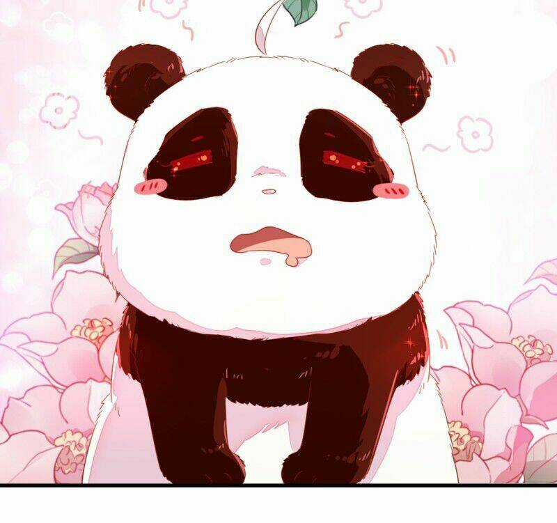 Thiên Thần Gấu Trúc Muốn Được Ôm Chapter 11 trang 9