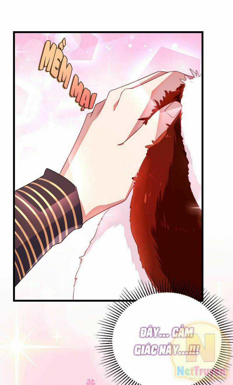 Thiên Thần Gấu Trúc Muốn Được Ôm Chapter 12 trang 10