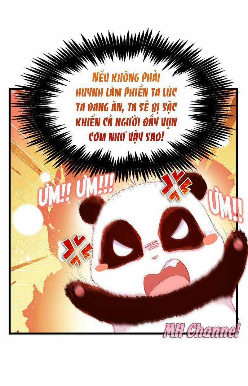 Thiên Thần Gấu Trúc Muốn Được Ôm Chapter 12 trang 15