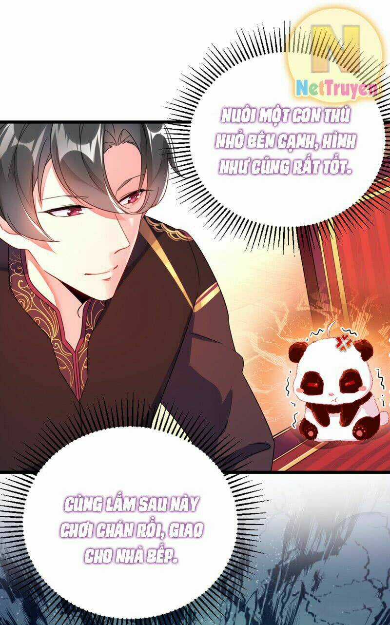 Thiên Thần Gấu Trúc Muốn Được Ôm Chapter 12 trang 16